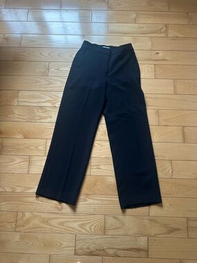 Aritzia Black The Limitless Pant - short